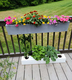 Bulk Go Grow Hydroponic Nutrients for All Veggies and Plants 5 Gallon - 20 Pack (100 Gallons)