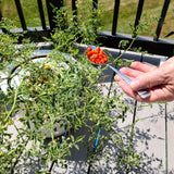 Bulk Go Grow Hydroponic Nutrients for All Veggies and Plants 5 Gallon - 20 Pack (100 Gallons)