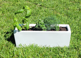 Mother's Day Planting Kit (Large Gray Planter)