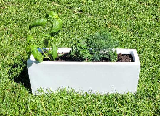 Mother's Day Planting Kit (Small White Planter)