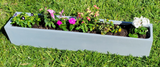 Mother's Day Planting Kit (Large Gray Planter)