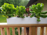 Go Grow Hydroponic Nutrients for All Veggies and Plants 1 Gallon - 10 Pack (10 Gallons)